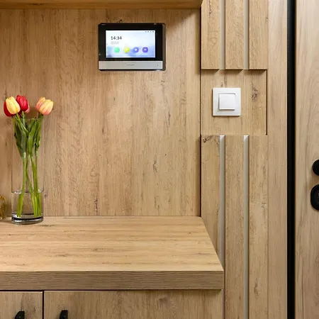 The Modern Wood By Flat Mаnager 公寓 普罗夫迪夫